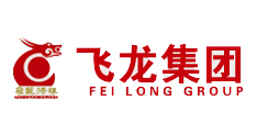 飞龙集团
