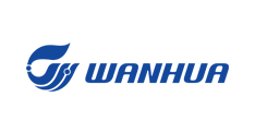 WANHUA